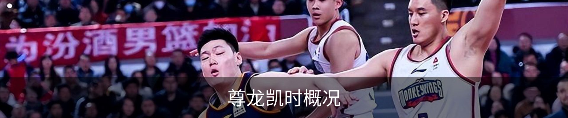 尊龙凯时概况